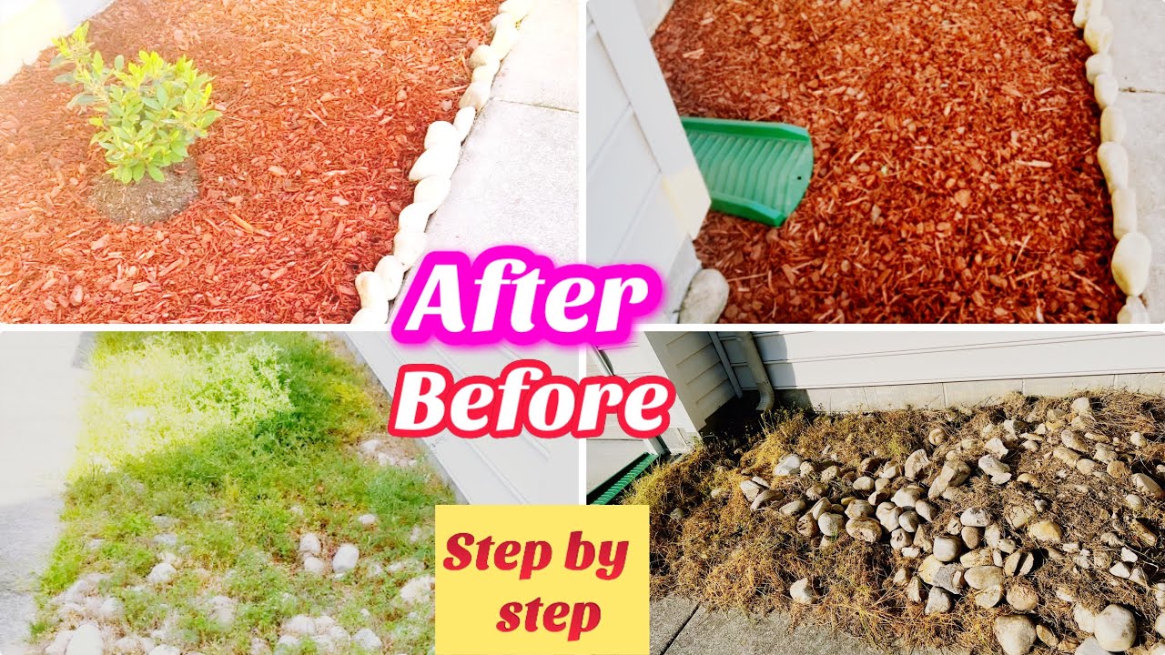 DIY Landscaping Tips on a Budget flower beds for beginners