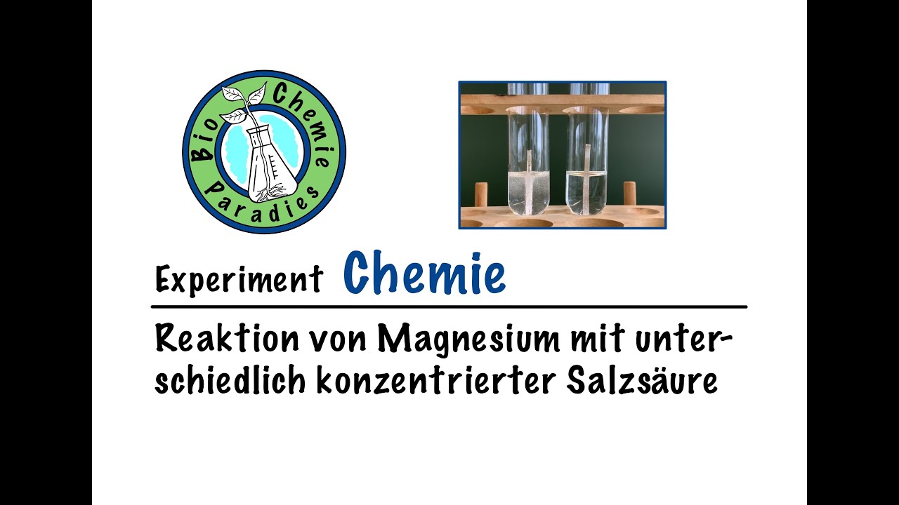 Reaktionsgleichung Salzsäure Mit Magnesium www.youtube.com