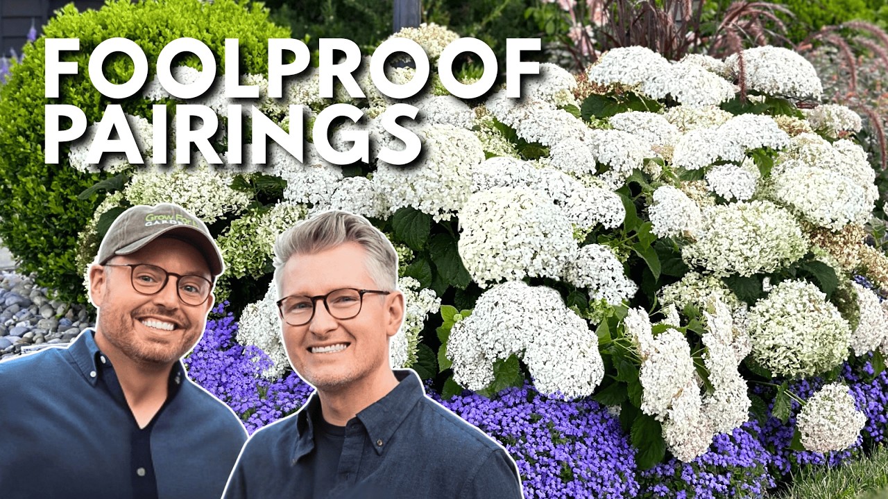 How to Pair Plants Like a Pro (3 Foolproof Garden Combinations)