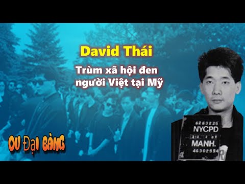 Tiểu sử David Thái – Trùm xã hội đen người Việt tại Mỹ