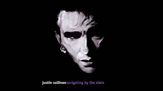 Justin Sullivan ‎– Navigating by the Stars (2003)