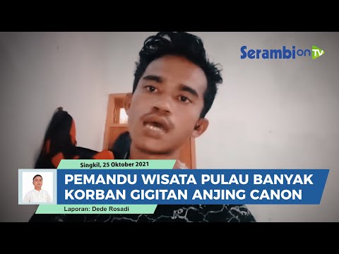 Video: Apakah kanon pemandu WIA?