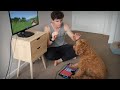 I Taught My Dog to Play Minecraft