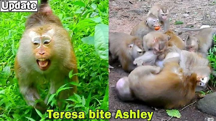 Good mama Teresa angry Ashley don't allow Libby re...