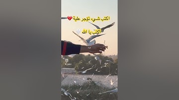 قران كريم يا الله 🫨 #quran #اكسبلور #القران_الكريم #المصحف #لايك #الشيخ #قرآن #اكسبلور #quran