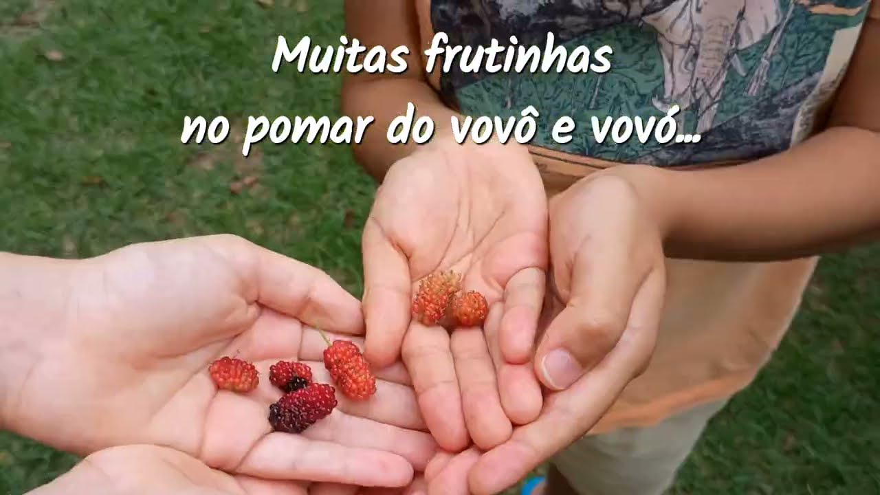 1°jan2026 com essa SURPRESA! 