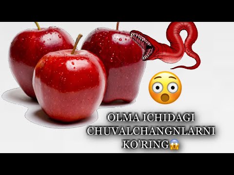 Video: Mamlakatda Yoki Uyda Shaftolini Toshdan Qanday Etishtirish Kerak + Video