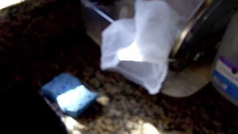 Home Brewing Hefeweizen - Part 1