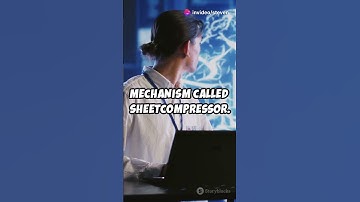 Microsoft Unveils SpreadsheetLLM: AI Breakthrough in Spreadsheet Understanding