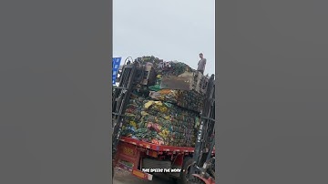 Efficient Forklift Loading of Old Bags onto Trucks for Safety and Environmental Sustainability