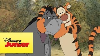 Mini Aventuras De Winnie The Pooh - Tigger E Igor