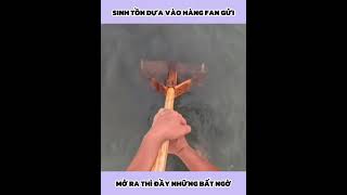 Anh Chàng Sinh Tồn Bằng Hàng Fan Gửi | P39