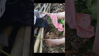 Going To The Forest To Collect Firewood Simple Rural Life