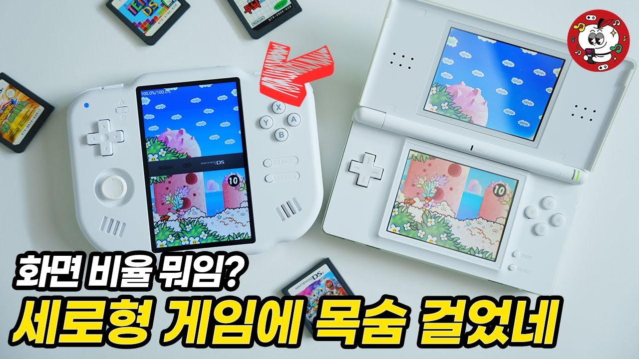 닌텐도 NDS, 슈팅게임 최적화 에뮬 게임기??