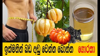 Download lagu ඉක්මනින් බර අඩු කරන ගොරකා පානය Goraka drink for weight loss | Kettu Wenna
