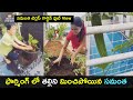 Watch a video & pic of Samantha Akkineni and her mother house farming