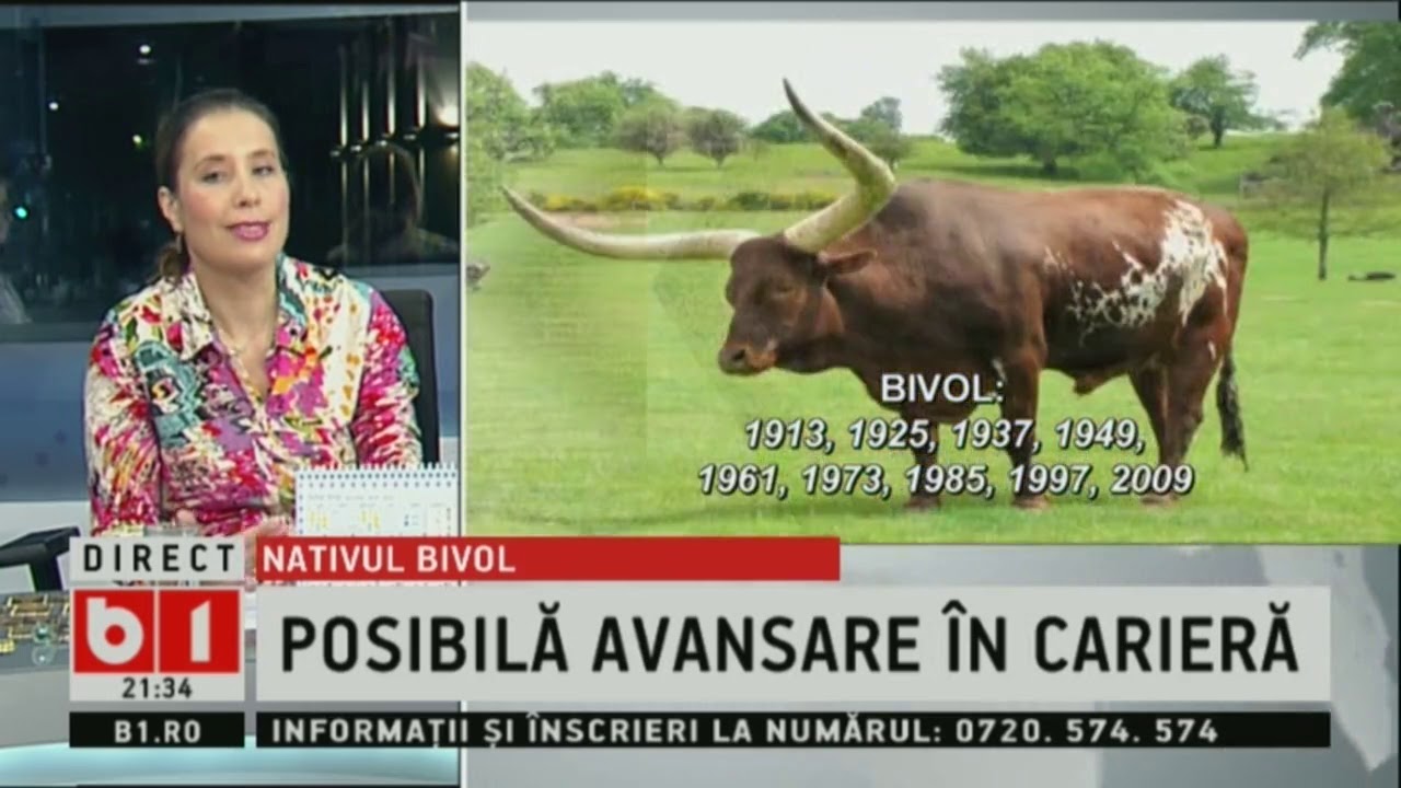 360 SPECIAL CU A.BADIC: HOROSCOP ZODIA BIVOL, LUNA IUNIE 2019 newspaper mockup