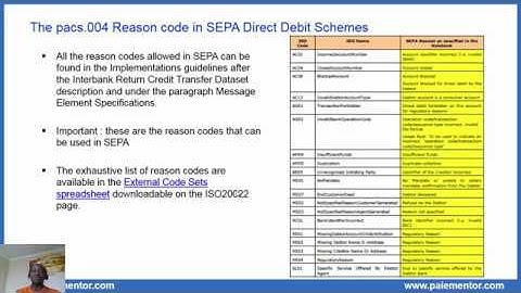 Pacs 004.001.02 Payment Return Message in SDD Core and B2B Schemes