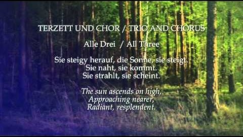 Summer (1) from The Seasons  - Joseph Haydn