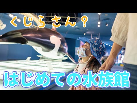 くじらさんと亀さんに会いたい!生まれて初めて水族館に行ってきたよ♪