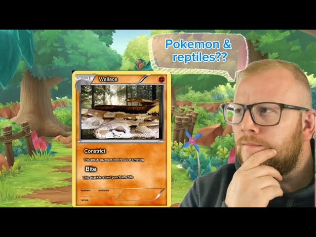 My reptiles & inverts with a Pokémon touch @lewisthere