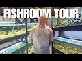 Jasons amazing tanganyikan fishroom tour