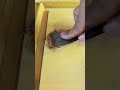 menembel kayu yg berlobang #bengkelkayu #woodworking #woodscraft #wood #diyprojects #woodwork #diy