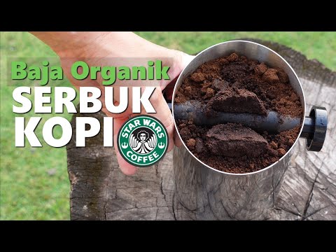 Video: >> Pokok Kopi - Faedah Dan Kegunaan Pokok Kopi, Buah Pokok Kopi, Penjagaan Dan Penanaman