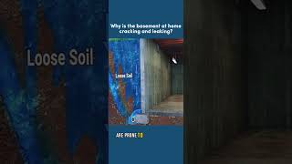Celebrity Why basement at home cracking and leaking? Wealth