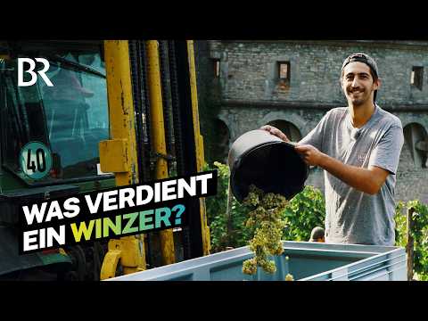 Ein Jahr Arbeit für wenig Ertrag: Was verdient ein Winzer? | Lohnt sich das? | BR