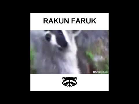 RAKUN FARUK #1 (EFSANE)