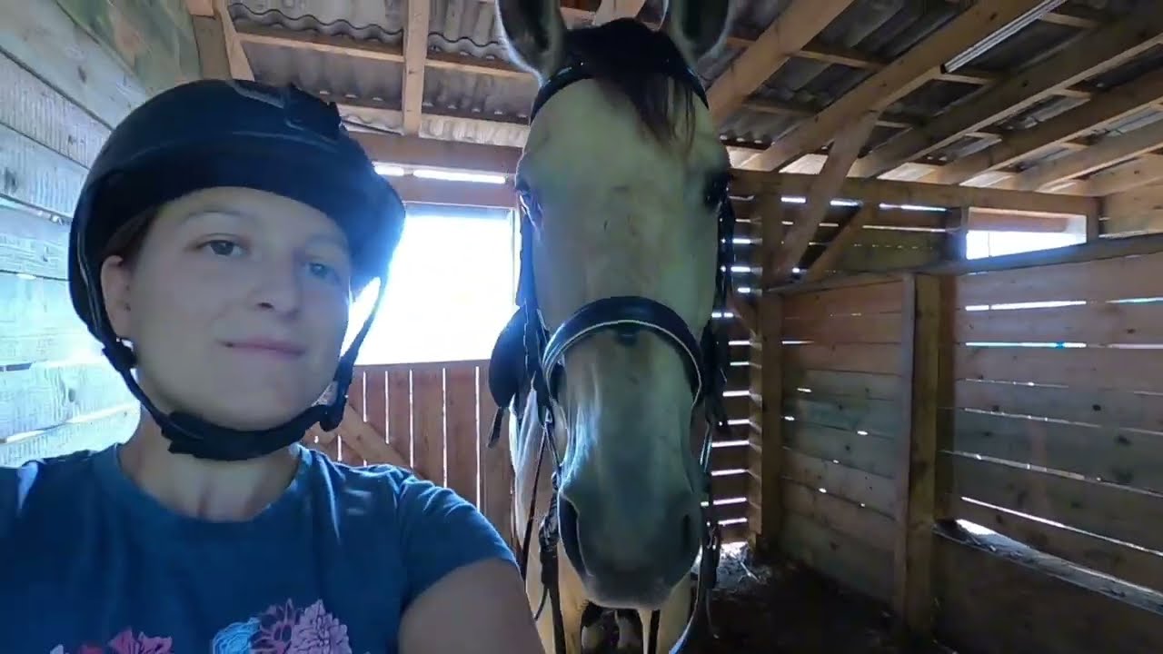 Tereplovaglás - Kölcsön lóval