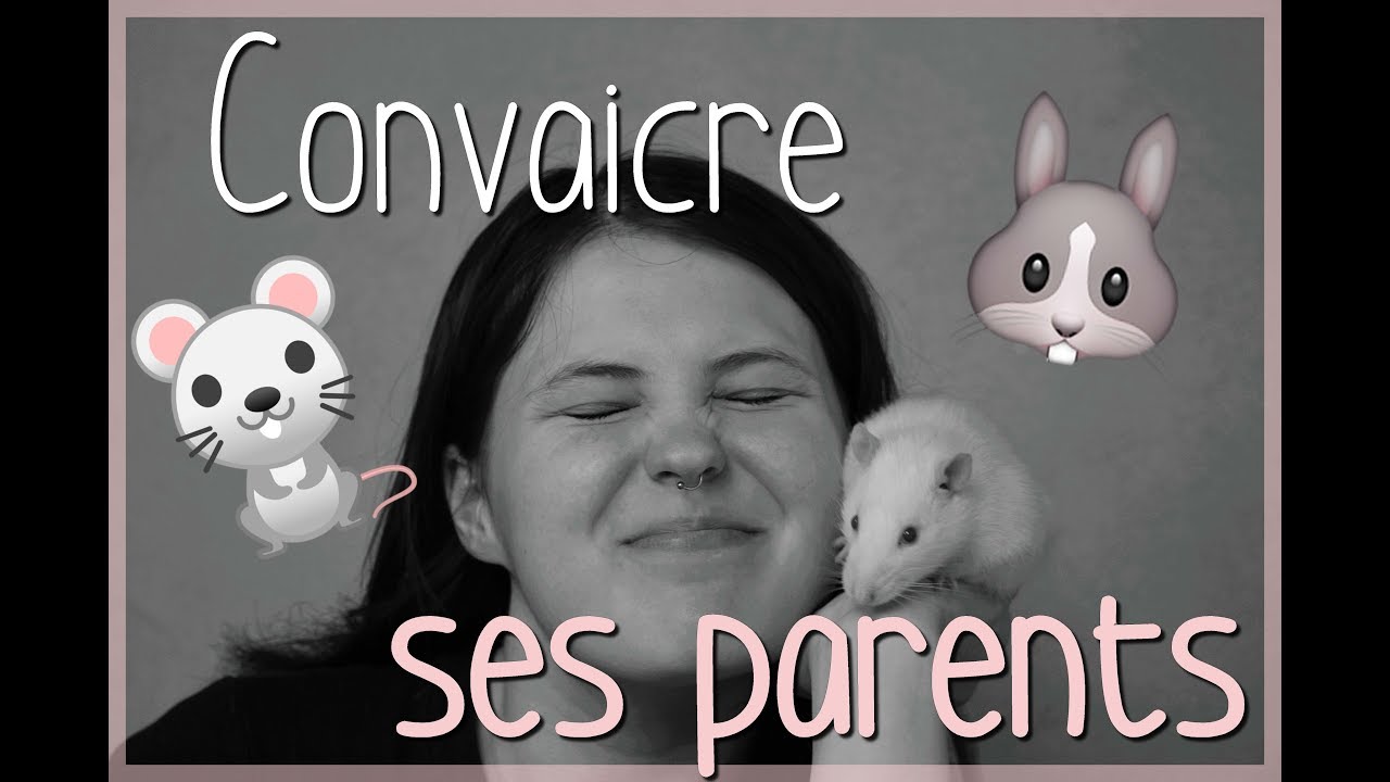 Convaincre ses parents d'adopter un rongeur?! YouTube