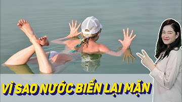 VÌ SAO NƯỚC BIỂN LẠI MẶN ?