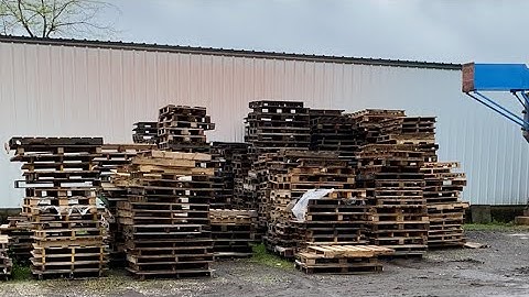 Video Diary - The Simplest Biz Live Stream