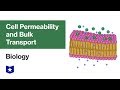 Cell Membrane Transport Mechanisms Explained