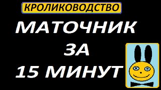 Маточник для кроликов своими руками: размеры, чертежи Маточник для кроликов своими руками: размеры, чертежи