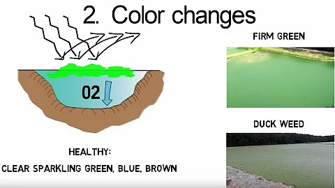 3 signs of an unhealthy lagoon - wastewater treatment