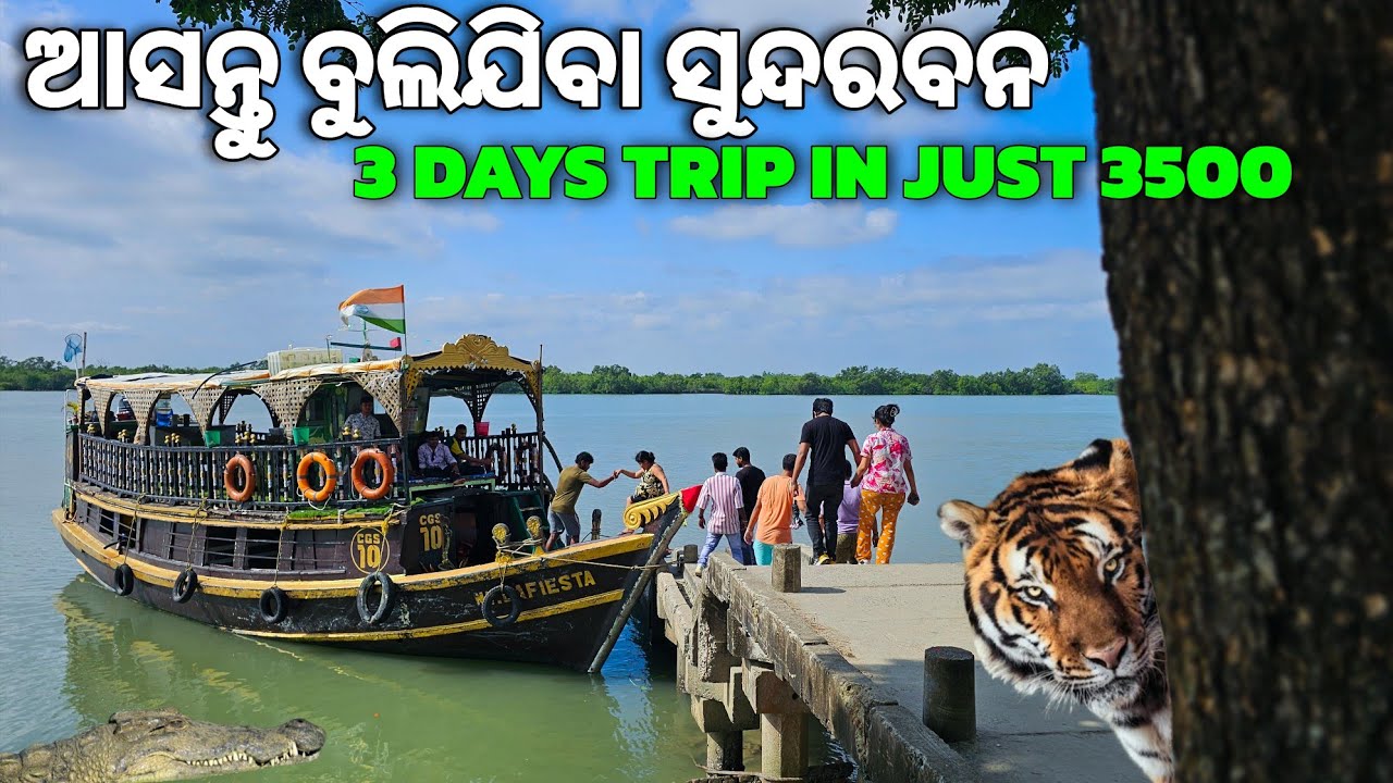 Sunderban Tour Plan Part-01 | 2N&3D | Sunderban National Park |