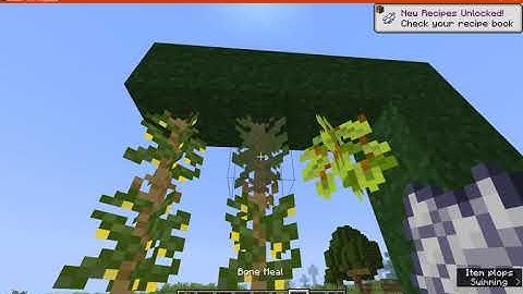 Axolotls&Axolotls In A Bucket/Lush Caves & Axolotls FollowUp 1.12.2/1.14.4/1.15.2 Forge Mod Overview