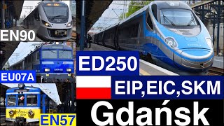 EIP, EIC, TLK, SKM, R depart from Gdańsk, Gdynia station