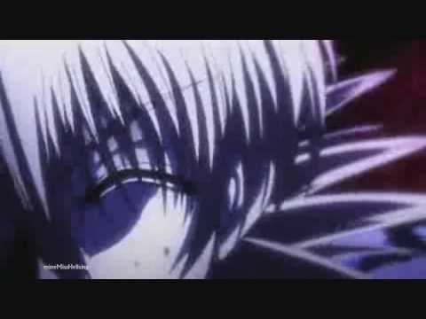 Katayoku no Tori - Hellsing AMV