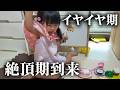 イヤイヤ期の絶頂を迎えた娘はどう乗り越えるのか？【2歳6ヶ月/4歳3ヶ月】