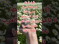 تحفيز