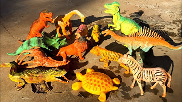 Tìm nhặt tắm con vật,con khùng long, con hà mã,con hổ,con cá sấu,con hươu cao cổ,con sư tử.