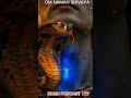 OM NAMAH SHIVAYA #viral #youtubeshorts #trending #omnamahshivaya #shortsvideo