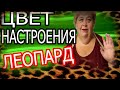 Оля Уралочка &quot;И ЦВЕТ НАСТРОЕНИЯ ЛЕОПАРД&quot; Оля УРАЛОЧКА Live Обзор влога