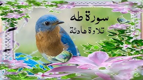 تلاوة هادئة تريح القلوب ❤والاعصاب💚 من سورة طه من الاية 17حتى76