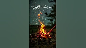 وننزل من القرآن _ بصوت القارئ _ رعد الكردي