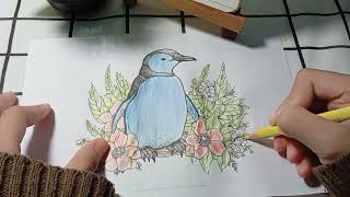 A Quiet Coloring Moment | Penguin & Flowers | Relaxing Rain Sounds